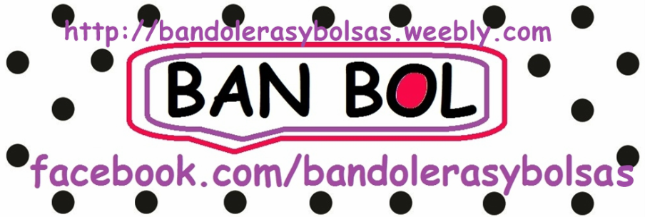 BANDOLERAS  Y  BOLSAS